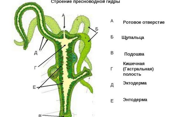 Зайти на кракен