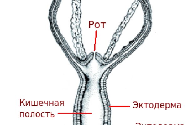 Кракен шоп ссылки