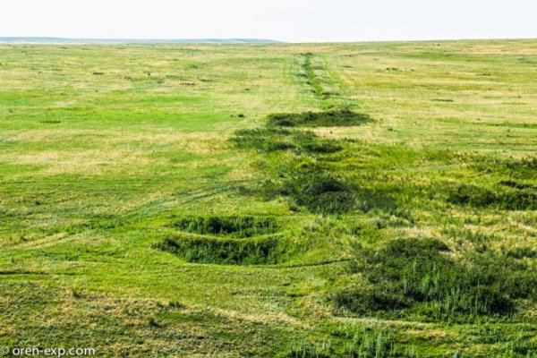 Кракен даркнет зеркало