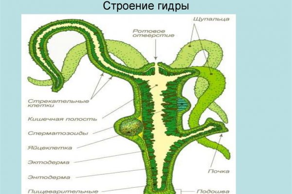 Кракен работает