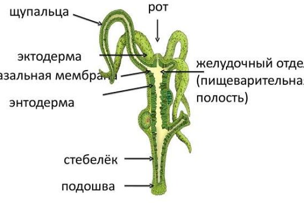 Магазин даркнета